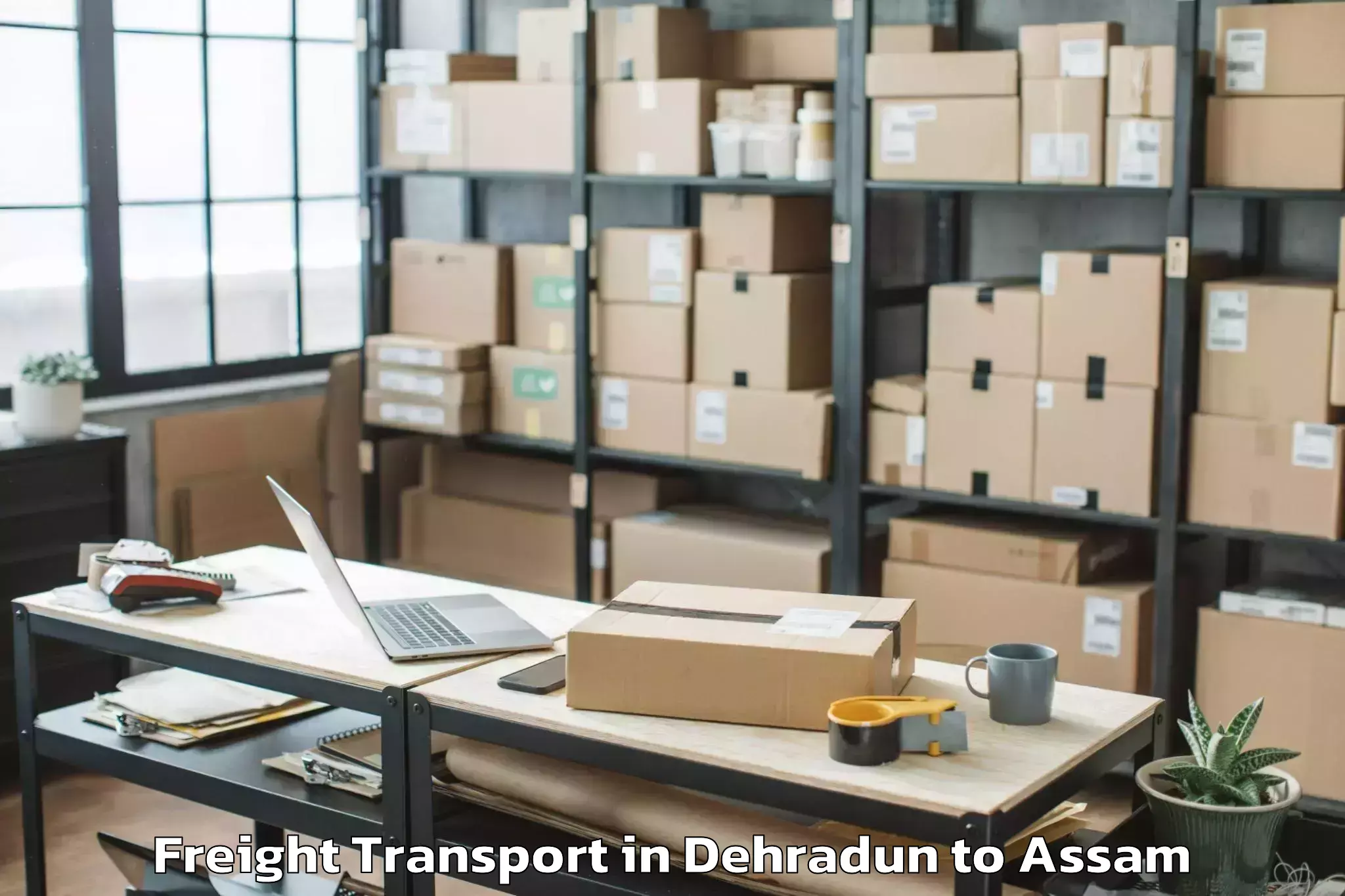 Discover Dehradun to Bajali Freight Transport